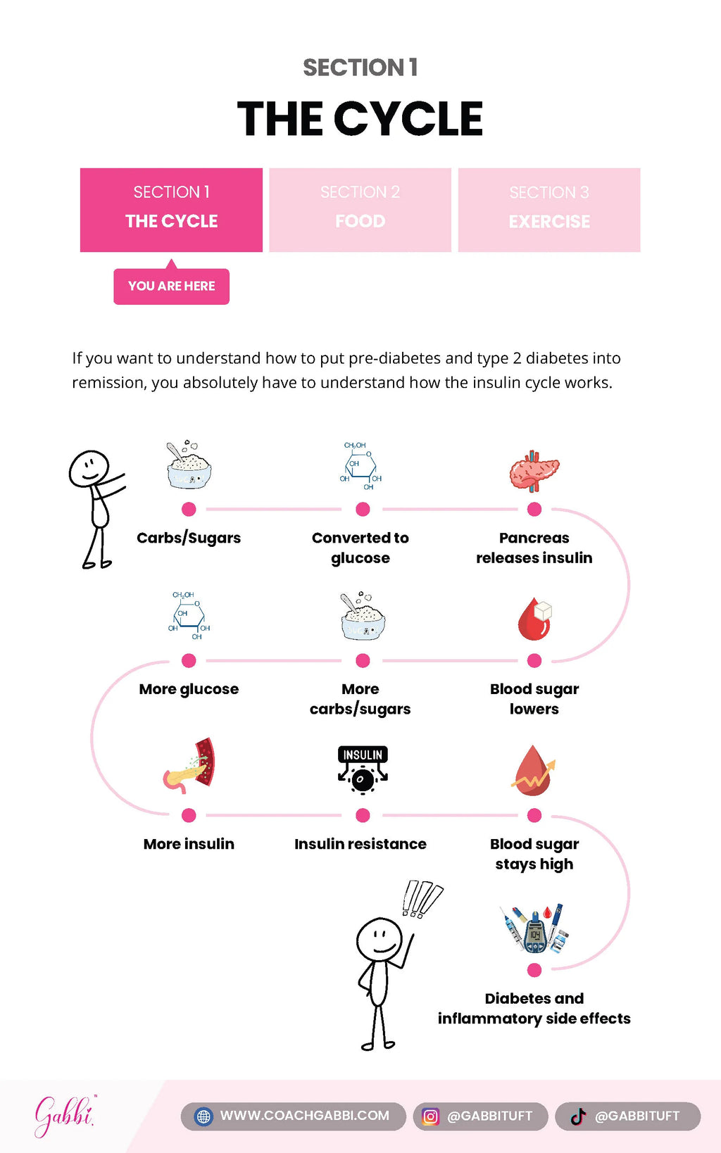 Diagram explaining the insulin cycle for understanding pre-diabetes and type 2 diabetes.