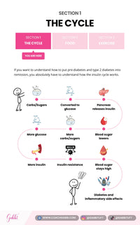 Diagram explaining the insulin cycle for understanding pre-diabetes and type 2 diabetes.